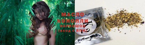 мдпв Богородицк