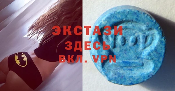 мдпв Богородицк