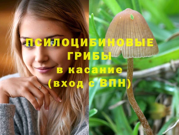 ГАЛЛЮЦИНОГЕННЫЕ ГРИБЫ Богородск