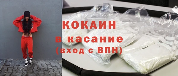 мдпв Богородицк