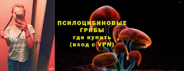 a pvp Белоозёрский