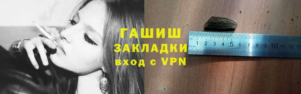 мдпв Богородицк