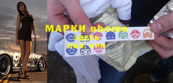 мдпв Богородицк
